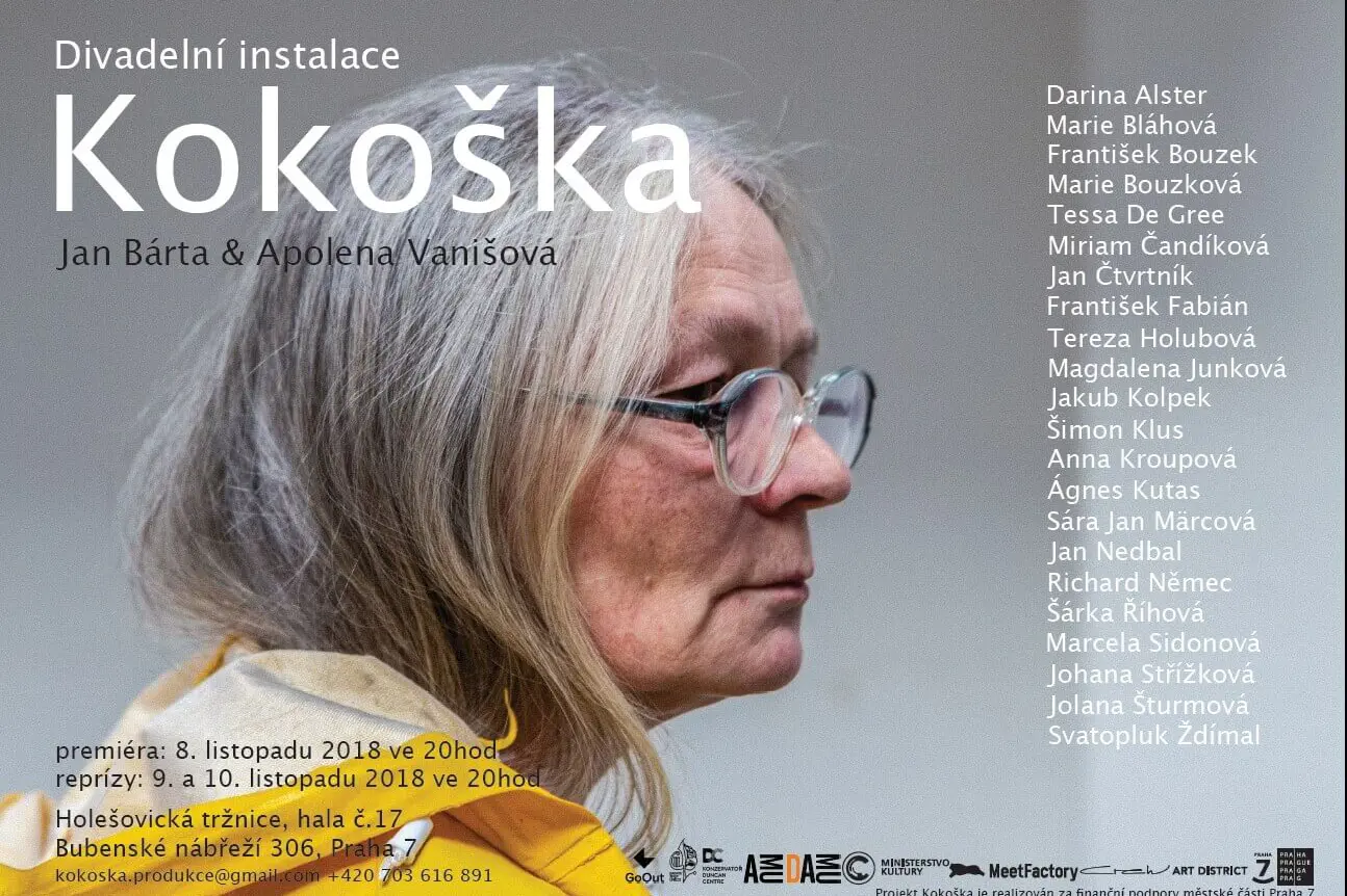 Náhledový obrázek k článku Projekt Kokoška