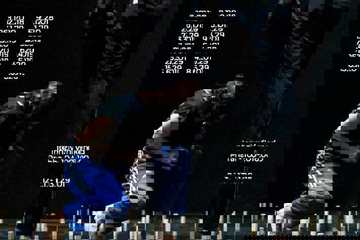 Workshopy Fighting Monkey