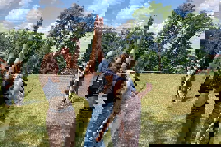 studenti tančí venku