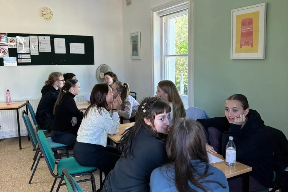 Studenti ve výuce
