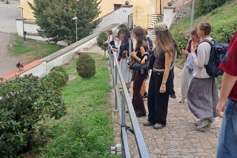 studenti v Pardubicích