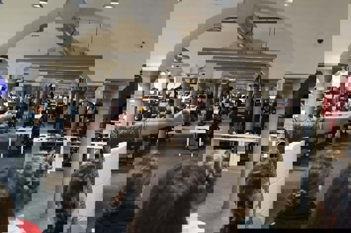 2. ročník v redakci Blesku