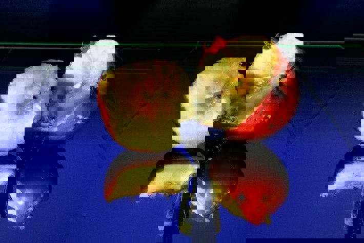 Ukázky prací studentů 5. ročníku - Multimediální tvorba