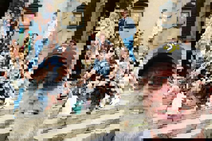 Compassion Fatigue is Over - Galerie Rudolfinum