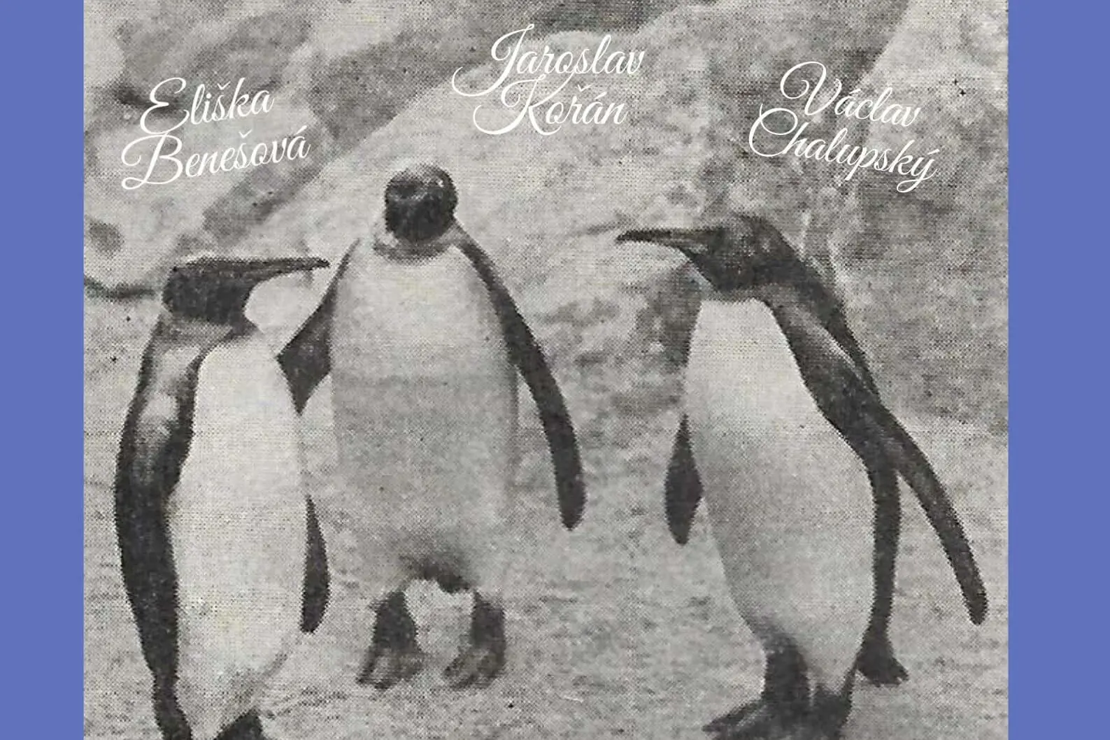 Improvizační večer na Duncanu