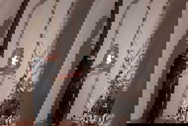 studenti v Kutné Hoře