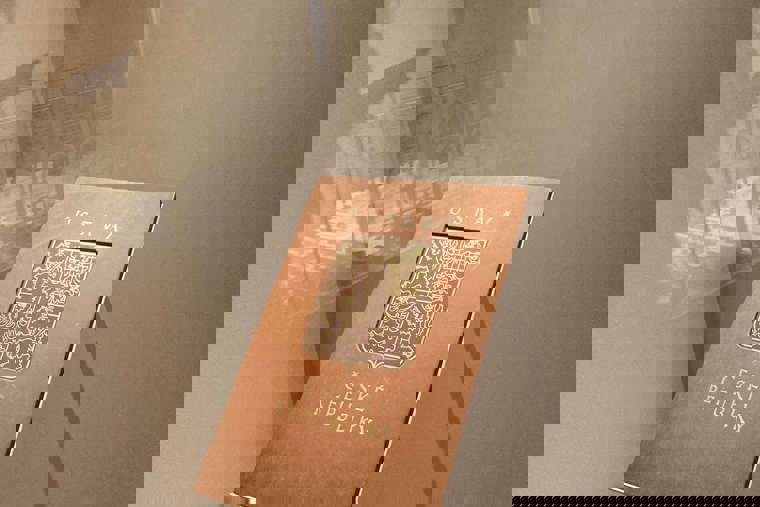 ústava České republiky