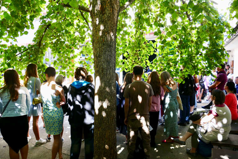 slavnostní zahájení