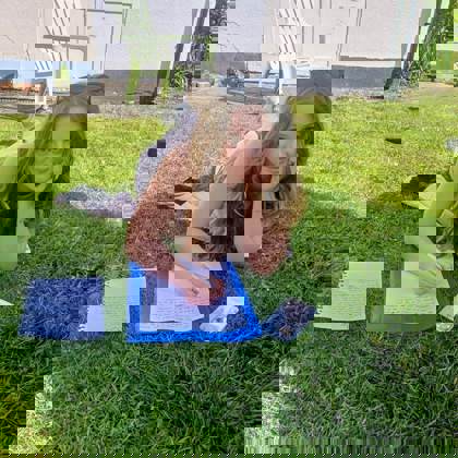 studenti venku v college