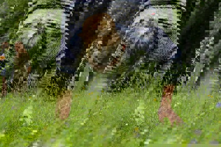 tanečnice v projektu Setiny