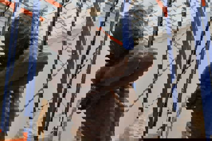 1. ročník na výstavě Ivana Meštrovice