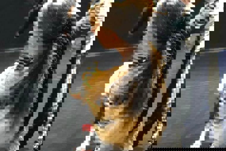 tanečníci na sále