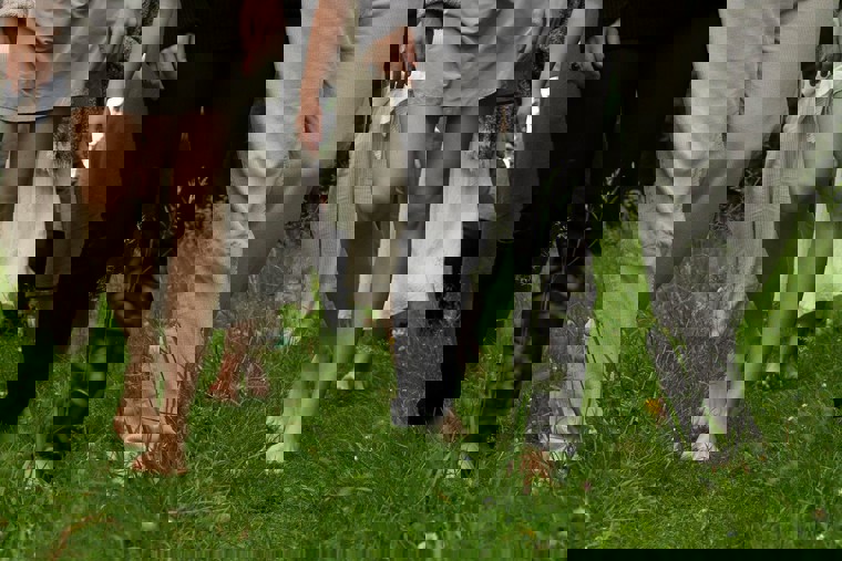 tanečnice v projektu Setiny